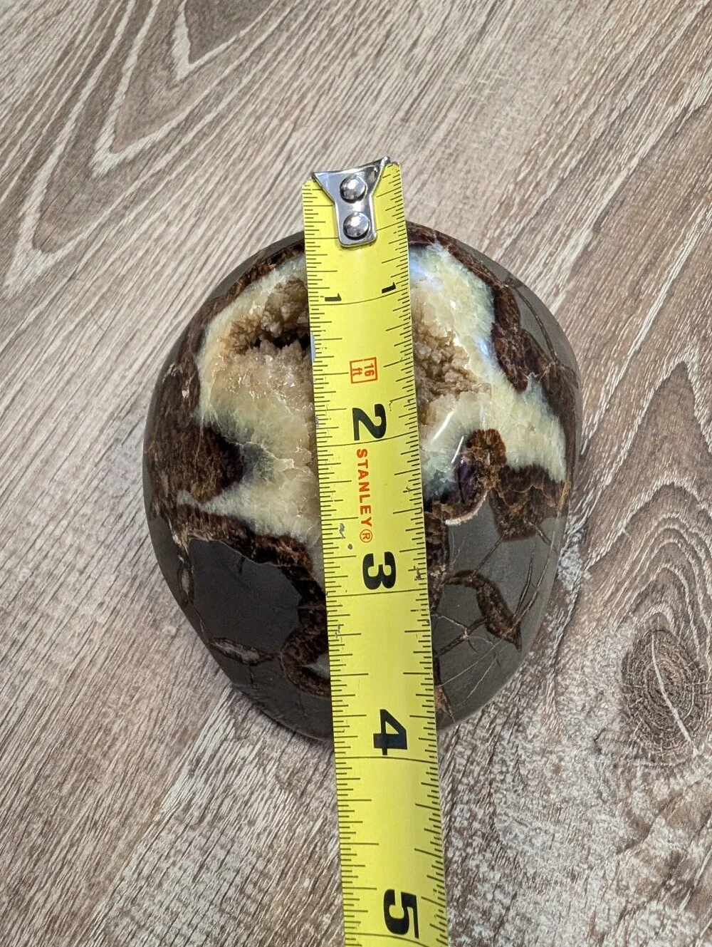 Large Septarian Nodule Stone Polished Crystal Filled